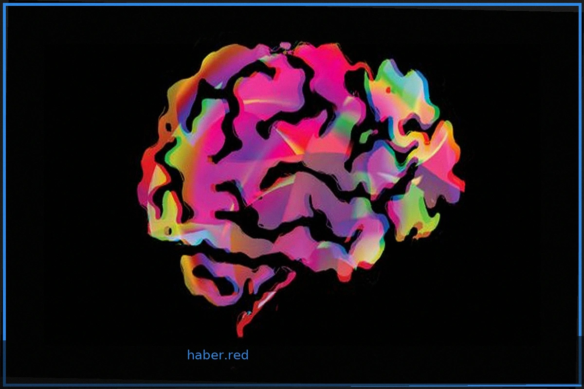 Estrogen-Only Hormone Therapy May Reduce Alzheimer's Risk