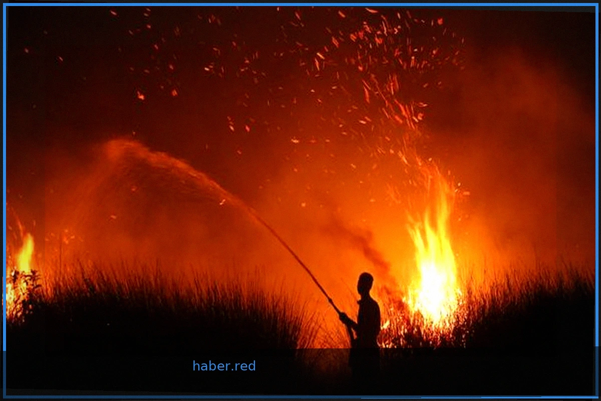 El Niño Fuels Indonesian Wildfires, Causing Widespread Illness